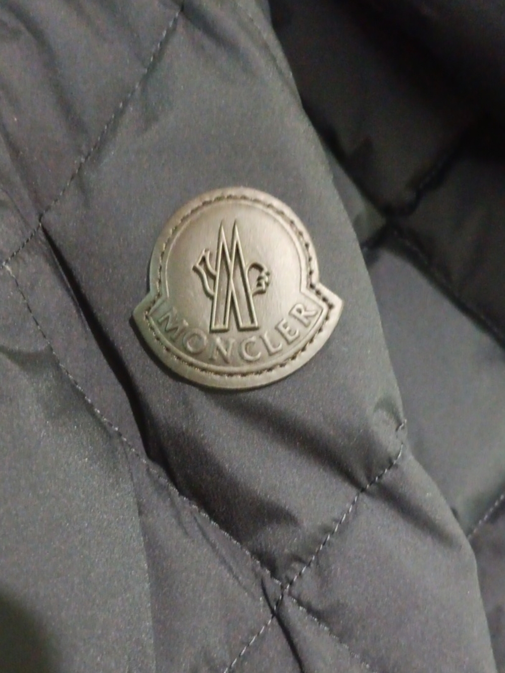 Moncler Cecaud Giubbotto Quilted Down Jacket - Picture 12 of 16